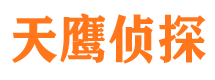 田林寻人公司